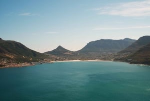 Città del Capo: Tour privato della penisola di un giorno intero