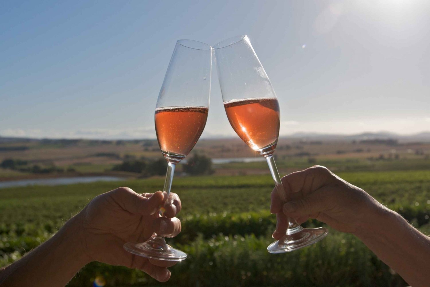 Le Cap : Visite d'une jounée dans les vignobles avec dégustations de vins et repas