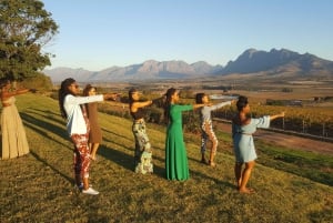 Cape Town: Full-Day Shared Wine Tasting Tour