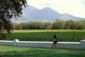Cape Town: Full-Day Winelands Tour with Wine Tastings & Food