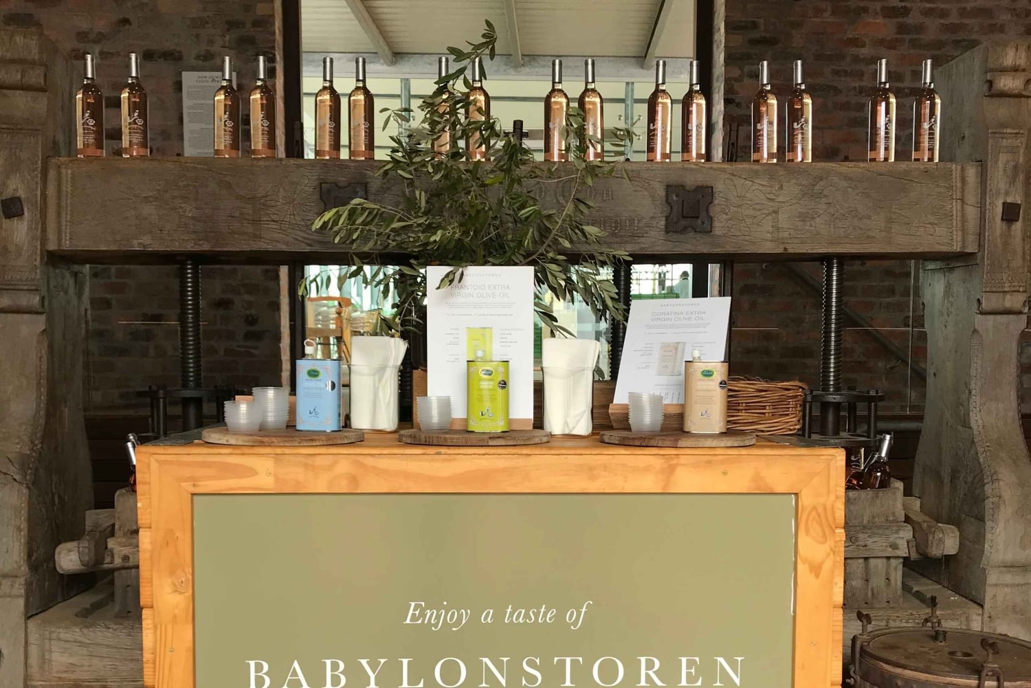 Città del Capo: Tour di un giorno intero dei vini di Stellenbosch e Franschhoek