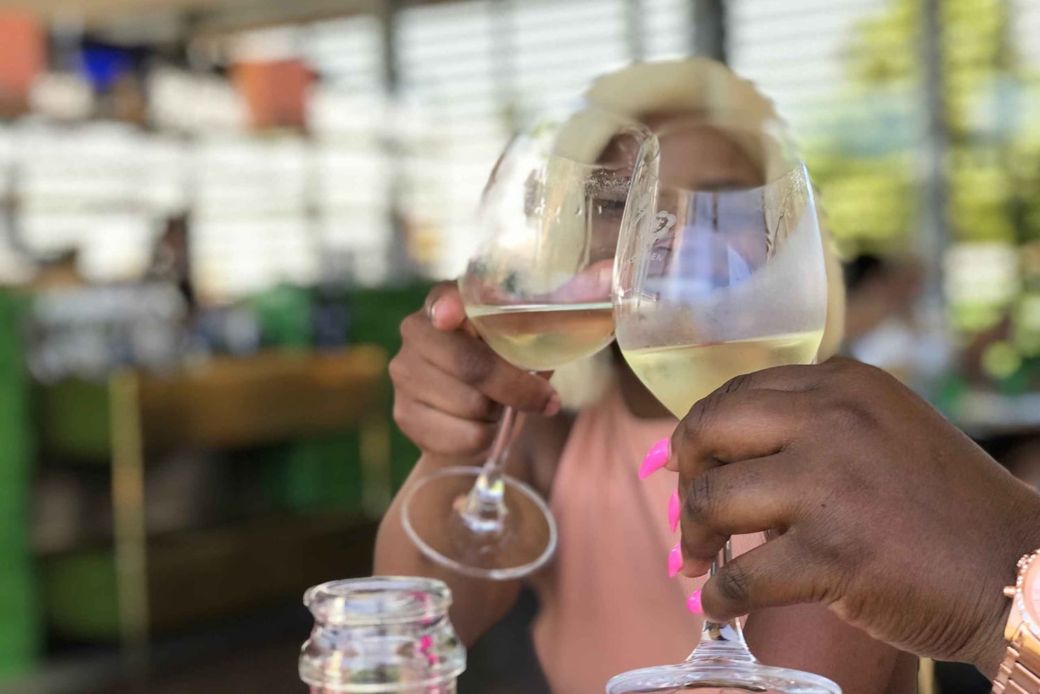 Città del Capo: Tour di un giorno intero dei vini di Stellenbosch e Franschhoek