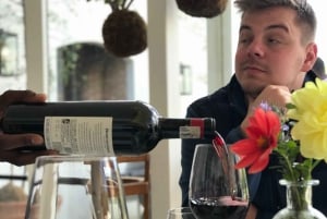 Città del Capo: Tour di un giorno intero dei vini di Stellenbosch e Franschhoek