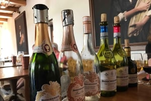 Città del Capo: Tour di un giorno intero dei vini di Stellenbosch e Franschhoek