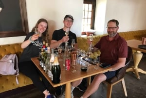 Città del Capo: Tour di un giorno intero dei vini di Stellenbosch e Franschhoek