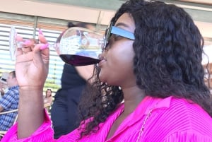 Città del Capo: Tour di un giorno intero dei vini di Stellenbosch e Franschhoek