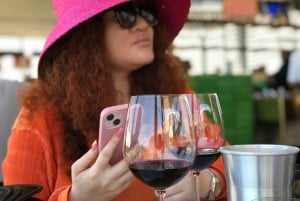 Città del Capo: Tour di un giorno intero dei vini di Stellenbosch e Franschhoek