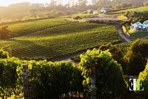 Kapstadt: Ganztägiges Oldtimer-Erlebnis mit Mittagessen und Guide