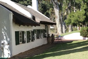 Cape Town: Full-Day Wine Tasting Tour with Wine Tram