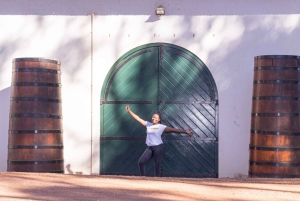 Cidade do Cabo: Excursão de 1 dia para degustação de vinhos com o Wine Tram