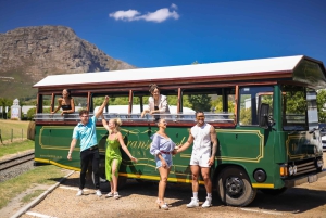 Cape Town: Full-Day Wine Tasting Tour with Wine Tram