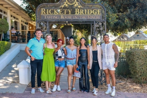 Cape Town: Full-Day Wine Tasting Tour with Wine Tram