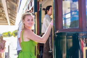 Cape Town: Full-Day Wine Tasting Tour with Wine Tram