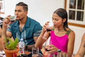 Cape Town: Full-Day Wine Tasting Tour with Wine Tram