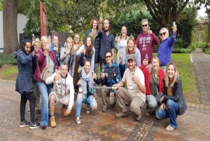 Cape Town:Private Wine Tour with Wine Tasting& Food