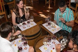 Cidade do Cabo: Tour particular de vinhos com degustação de vinhos e gastronomia
