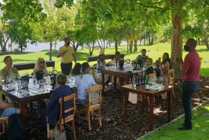 Kapstaden: Privat vinresa med vinprovning och mat