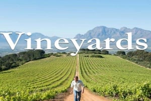 Kaapstad: privétour met wijnproeverij en eten