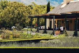 Kapsztad: całodniowa wycieczka Winelands z degustacją wina i jedzeniem