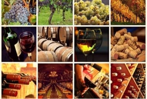 Kapsztad: całodniowa wycieczka Winelands z degustacją wina i jedzeniem