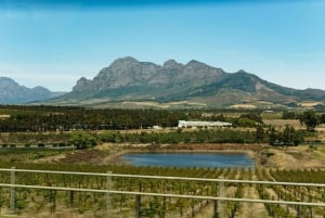 Heldags tur til Cape Town i vinlandet på en hel dag
