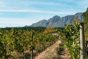 Kapsztad: Całodniowa wycieczka po regionie winiarskim