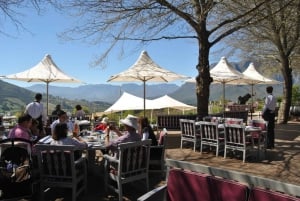 Cape Town Full-Day Winelands Tour