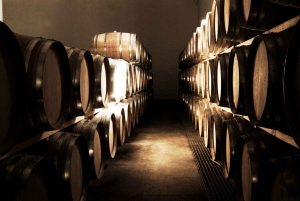 Cape Town Full-Day Winelands Tour