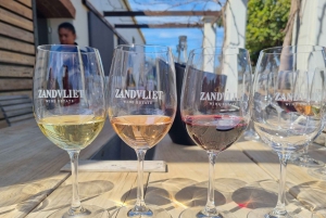 Cape Town: Funday - Taste Divine Wines in Exquisite Settings