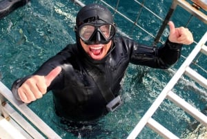 Gansbaai Eco-Friendly Shark Cage Diving Cruise