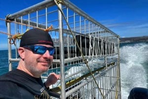 Ciudad del Cabo : Crucero ecológico en jaula para bucear con tiburones en Gansbaai