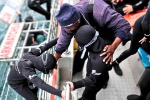 Cape Town: Gansbaai Eco-Friendly Shark Cage Diving Cruise