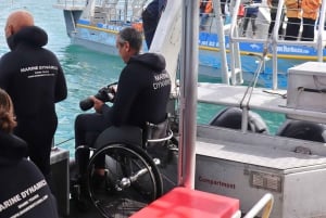 Cape Town: Gansbaai Eco-Friendly Shark Cage Diving Cruise