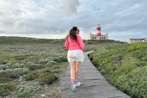 Le Cap : Safari de 6 jours sur la Route des jardins et dans le parc d'éléphants d'Addo