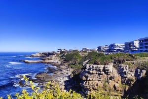 Le Cap : Safari de 6 jours sur la Route des jardins et dans le parc d'éléphants d'Addo