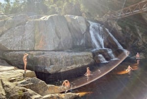 Le Cap : Safari de 6 jours sur la Route des jardins et dans le parc d'éléphants d'Addo