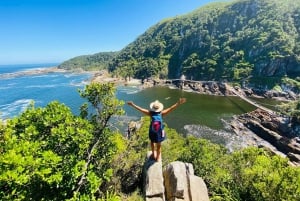 Le Cap : Safari de 6 jours sur la Route des jardins et dans le parc d'éléphants d'Addo