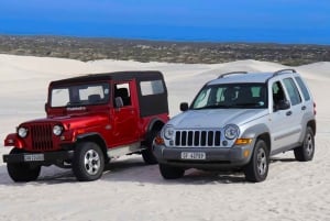 كيب تاون: التزلج على الرمال في كثبان أتلانتس الرملية مع WILDX