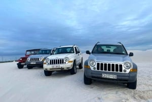 كيب تاون: التزلج على الرمال في كثبان أتلانتس الرملية مع WILDX