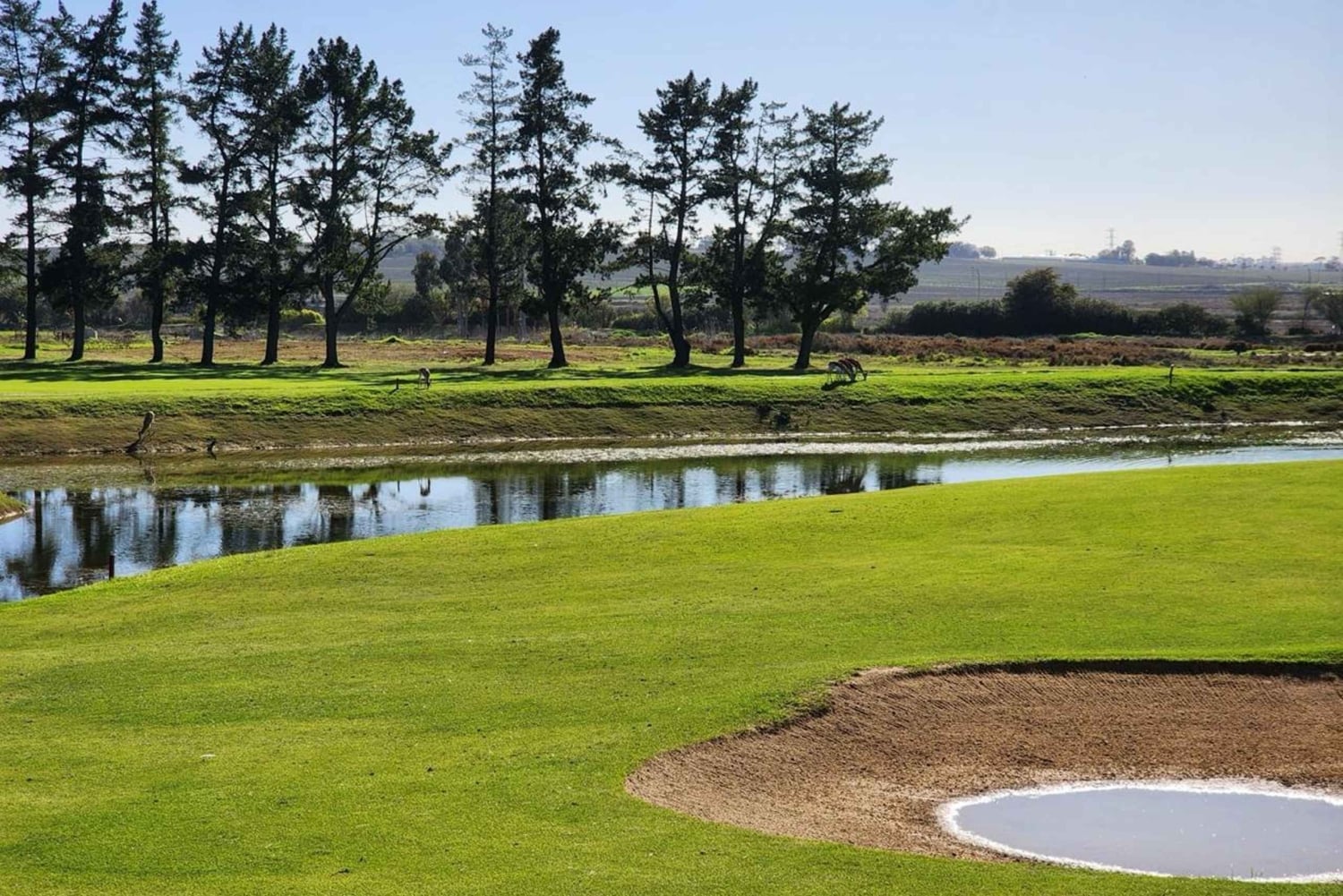 Dzień golfa w Kapsztadzie i degustacja wina w winnicy Ernie Els