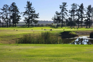 Dzień golfa w Kapsztadzie i degustacja wina w winnicy Ernie Els