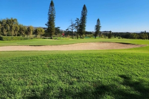 Dzień golfa w Kapsztadzie i degustacja wina w winnicy Ernie Els