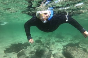 Kapsztad: Snorkel z przewodnikiem Great African Sea Forest