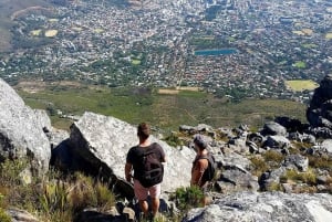 Cape Town: Group or Private Table Mountain Hike