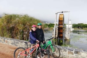 Cape Town Guided City Cycling Heritage Tour - Private Tour