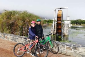 Cape Town Guided City Cycling Heritage Tour - Private Tour