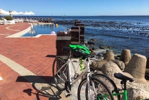 Cape Town Guided City Cycling Heritage Tour - Private Tour