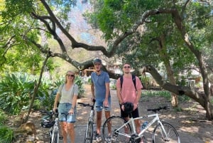 Cape Town Guided City Cycling Heritage Tour - Private Tour