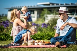 Cape Town: Half Day Cape Town Local Art Experience