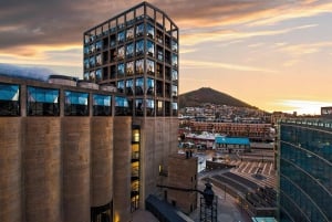 Cape Town: Guided Contemporary Art Experience